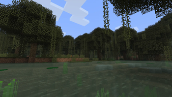 Swamp