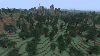Windswept Forest