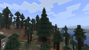 v1.1.0 - Ancient Spruce Tree