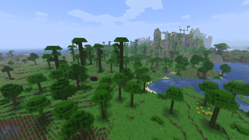 Sparse Jungle