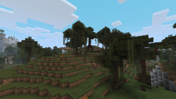 Treevamped Swamp