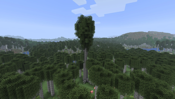 v1.1.0 - Ancient Birch Tree