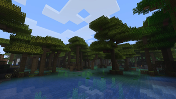 Mangrove Swamp