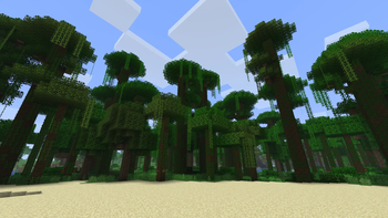 Jungle