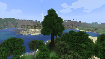 New in v1.1.0 - Ancient Trees!