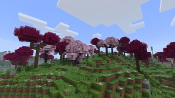 Treevamped Cherry Grove