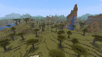 Savanna