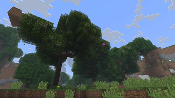 v1.1.1 - Mega Flower Oak