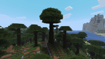 Ancient Dark Oak