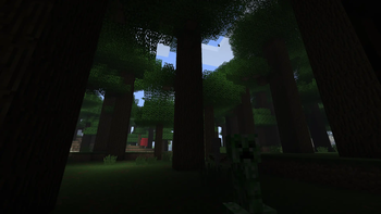 Dark Oak
