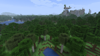 Forest