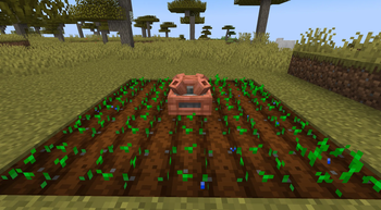 Sprinkler (Water)