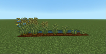 New Flax Crop Textures