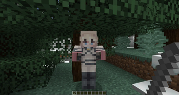 Texture applied to an entity