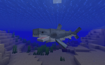 Great White Shark