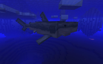Megalodon