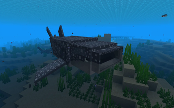 Whale Shark
