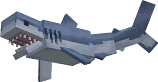 Mako Shark