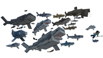 1.2.5
