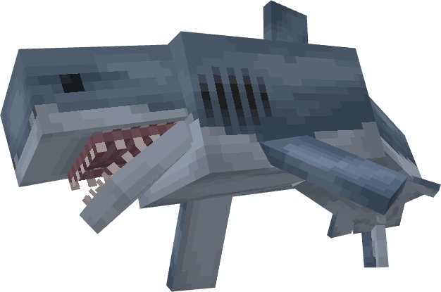 Great White Shark