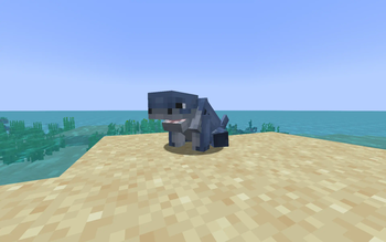 Land Shark