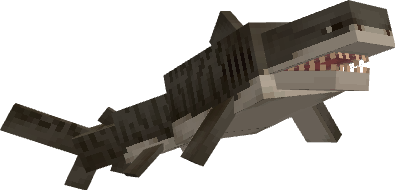 Tiger Shark