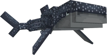 Whale Shark