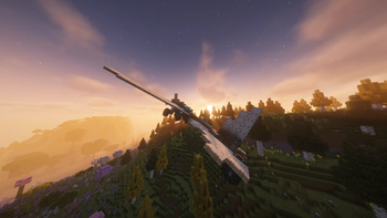 Flying into the sunset