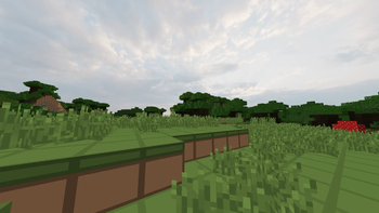 Terrain