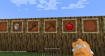 Item Frame discovery