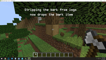 Getting Bark