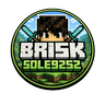 brisksole9252