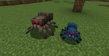 Spider and Cave Spider