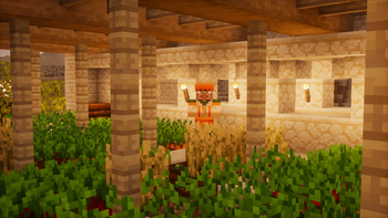Mr. Villager