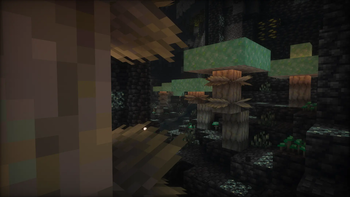 Cave