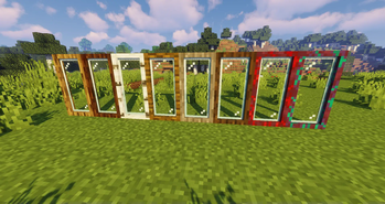 Wooden Glass Doors