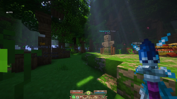 Play on your favorite servers!