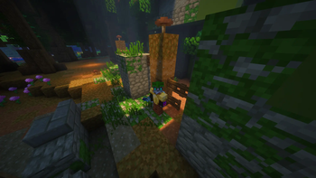 Shaders