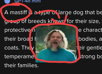 a mastiff