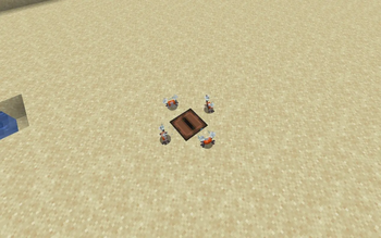 Boxer Crabs