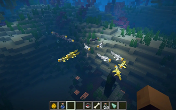 Torch Fish