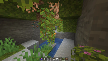 Lush Caves in Default World type