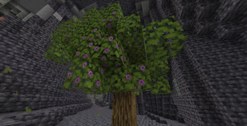Azaela Tree