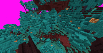 Warped Forest