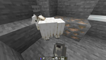 Goats And Horns
