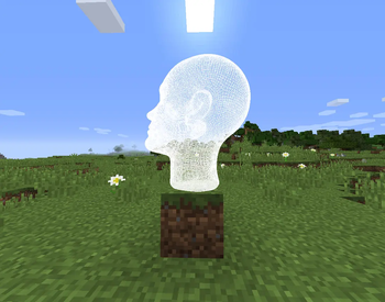 Human head