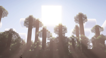 Memories: Collective Edition