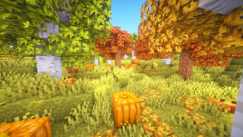 Autumnal Grove