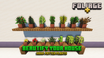 Beautify Your House