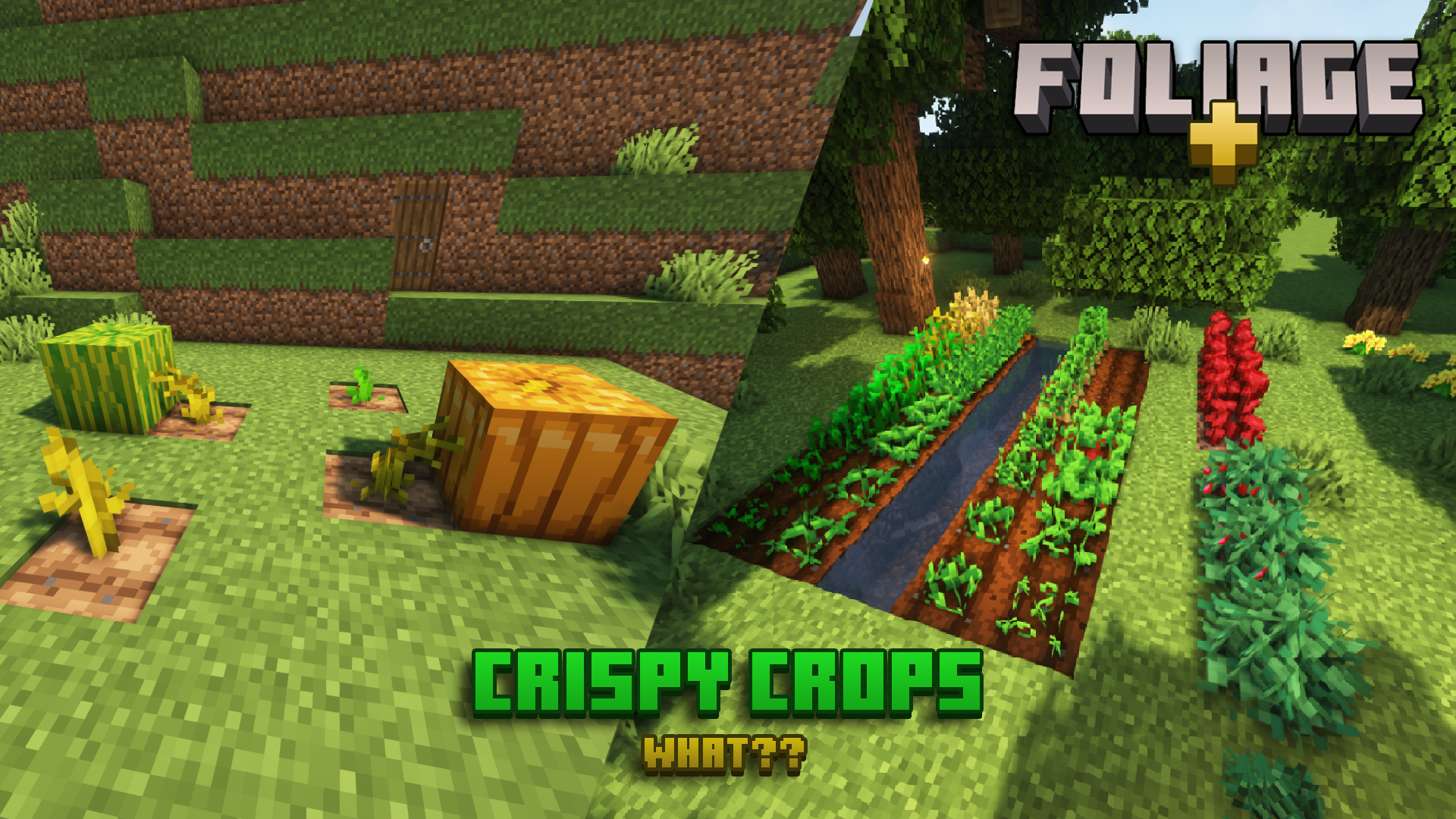 Crispy Crops